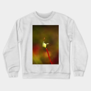 Rose Bud Rich Stem Crewneck Sweatshirt